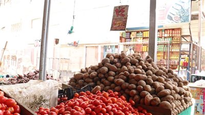 أسعار الخضراوات اليوم، الطماطم تسجل 6.5 جنيه أعلى سعر لها بسوق العبور