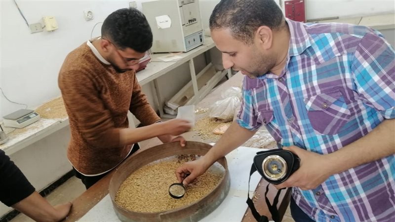 سحب عينات من التغذية