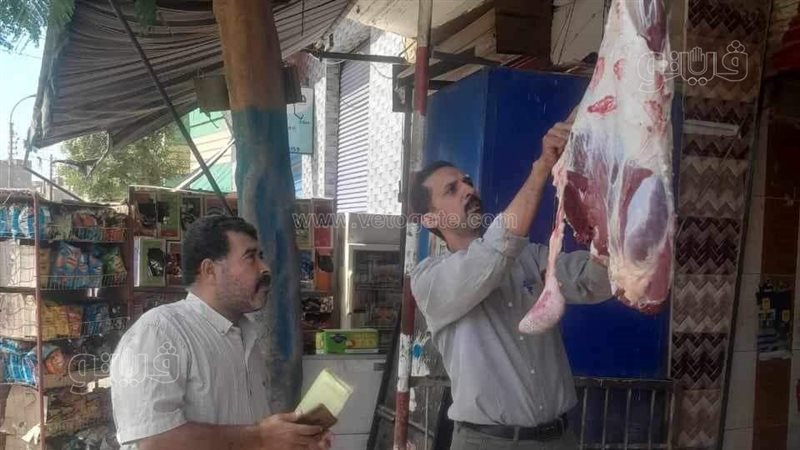 حملة تموينية بالمنيا،