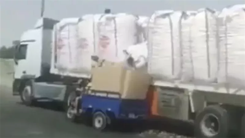 عصابة البطاطس، فيتو