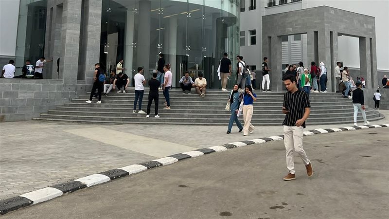 جامعة سيناء،فيتو