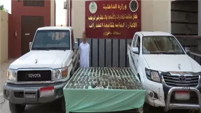  حبس اثنين من العناصر الإجرامية بتهمة الحيازة والاتجار في المخدرات بـ 