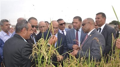 السكرتير المساعد بالبحيرة يتفقد محطة الزهراء لإنتاج البيض ويتابع موسم حصاد الأرز (صور)