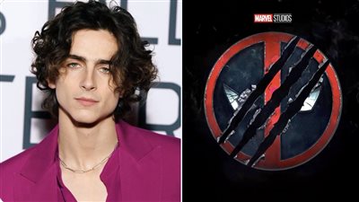 تيموثي شالاميت مرشحا لأداء النسخة المراهقة من شخصية Deadpool 