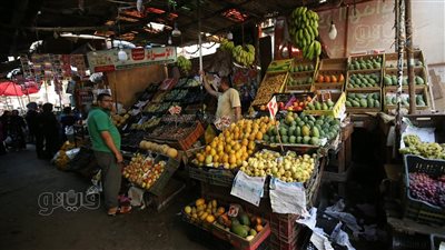 أسعار الفاكهة اليوم، 34 جنيهًا أقل سعر لكيلو المانجو في سوق العبور