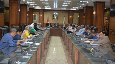 محافظ سوهاج يترأس اجتماع المجلس الاقتصادي لدعم الاستثمار وتشجيع المستثمرين 