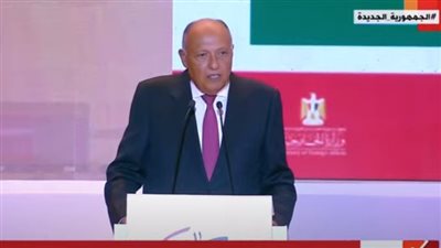 وزير الخارجية: لم نبتز شركاءنا بالمتوسط في قضية الهجرة غير الشرعية