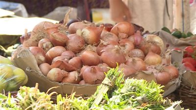 تفاوت أسعار البصل في الأسواق خلال ثالث أيام تطبيق قرار حظر تصديره