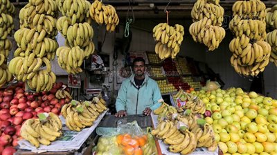 تعرف على أسعار الفاكهة في سوق العبور اليوم الجمعة