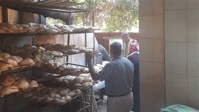 ضبط 107 أطنان مواد غذائية وتحرير 418 محضرا تموينيا بالمنوفية