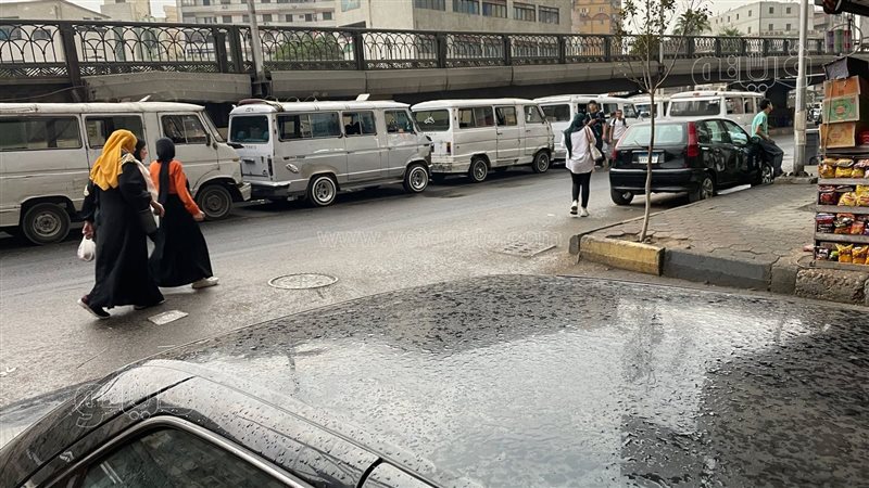 حالة الطقس، فيتو