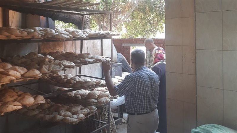 الحملات بالمنوفية،