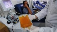الفرق بين التبرع بالدم والبلازما وفوائدهما للجسم 