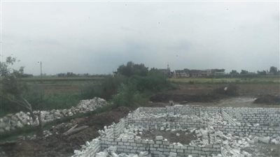 إزالة 11 حالة تعد على الأراضي الزراعية بالبحيرة (صور)