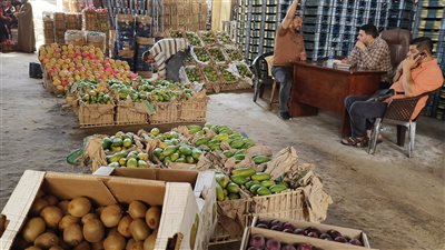 أسعار الفاكهة اليوم الاربعاء 4-10-2023 في الدقهلية