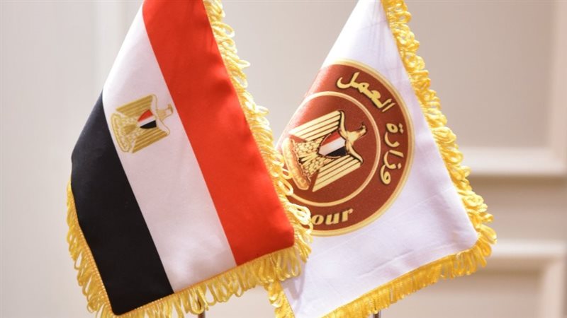 وزارة العمل،فيتو