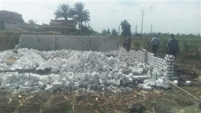 إزالة 11 حالة تعد على الأراضي الزراعية بمحافظة البحيرة (صور)