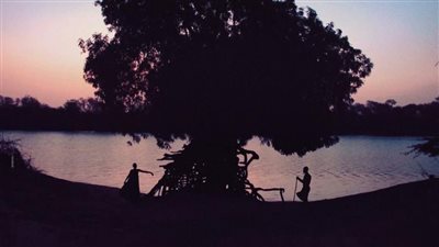  السنغال تختار فيلم Banel & Adama ليمثلها في الأوسكار، ما قصته ؟