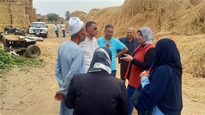 جولات بمواقع قش الأرز والصناعات الصغرى بمحافظات البحيرة والدقهلية والقليوبية