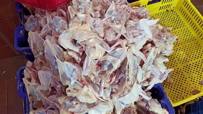 ضبط 738 كيلو دواجن فاسدة داخل محل مأكولات بدون ترخيص فى الساحل