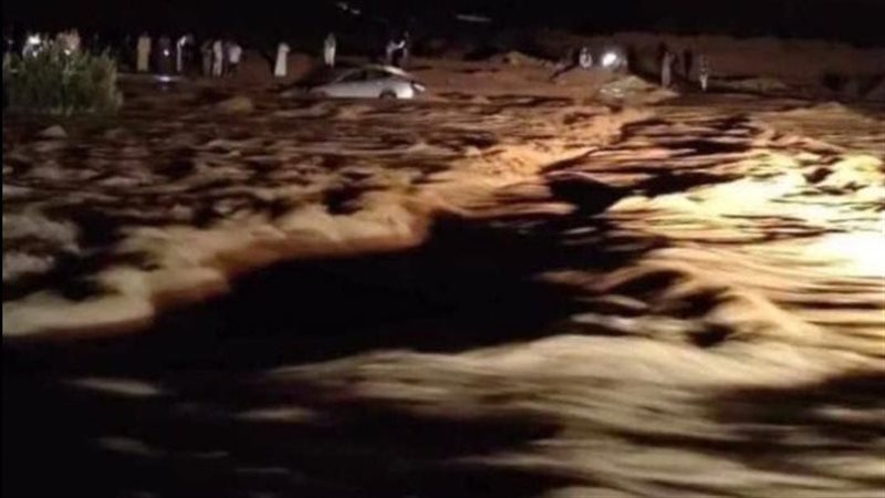 سيول غمرت الشوارع