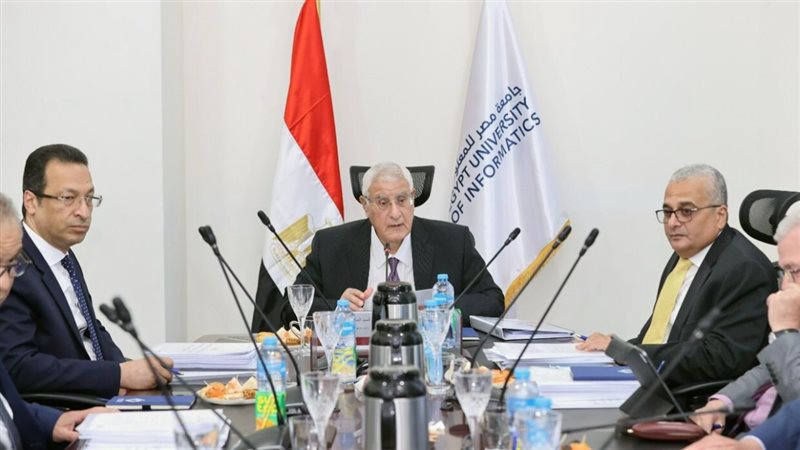 جامعة مصر المعلوماتية،فيتو