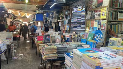 سور الأزبكية الحل، أولياء الأمور يلجأون للسور بعد ارتفاع أسعار الكتب الخارجية (فيديو وصور) 