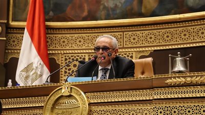 وكيل الشيوخ يدعو لإجراء انتخابات هيئات اللجان النوعية