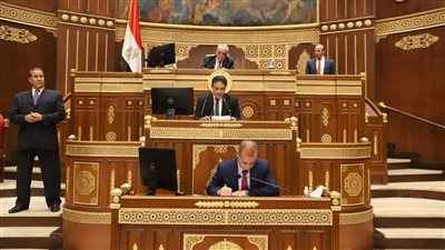  بدء جلسة الشيوخ لتشكيل اللجان النوعية