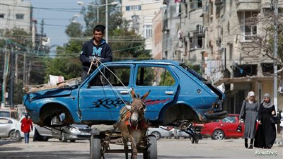 أزمة حمير تضرب غزة، وتجار: الواحد بألف دولار ومخاوف من اختفائها 