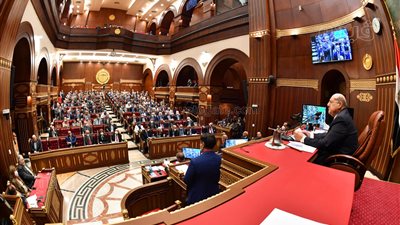 خلاف بالجلسة العامة للشيوخ بين رئيس المجلس والنائب ياسر الهضيبى