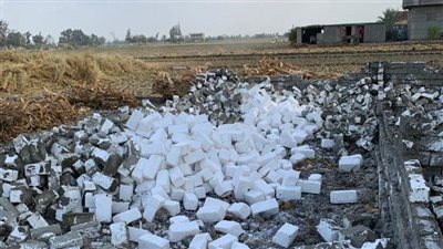 إزالة 21 حالة تعد على الأراضي بالبحيرة (صور)