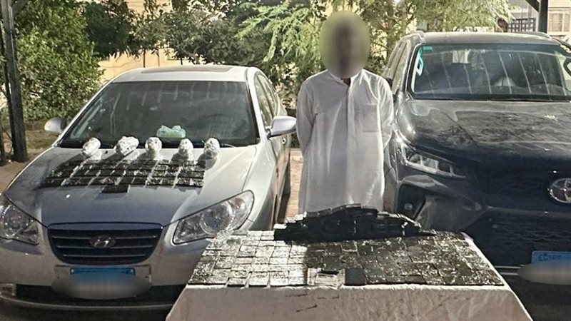 سقوط 6 عناصر اجرامية،فيتو