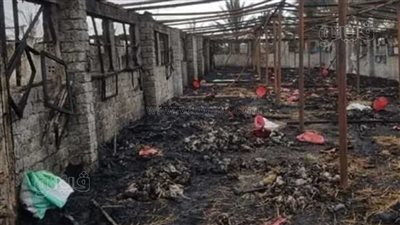 النيابة تعاين حريق مزرعة دواجن في الدقهلية