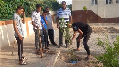 تنفيذ مشروع التشجير بمراكز شباب أرمنت في الأقصر 