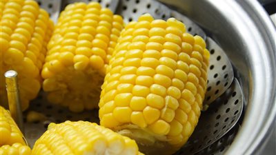 الفوائد الصحية للذرة المسلوقة وطرق إضافتها للنظام الغذائي