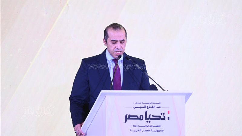 المستشار محمود فوزي