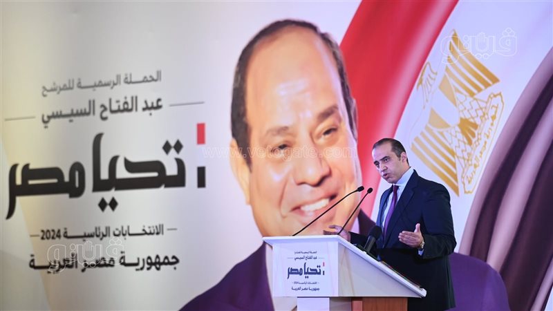 المستشار محمود فوزى.فيتو