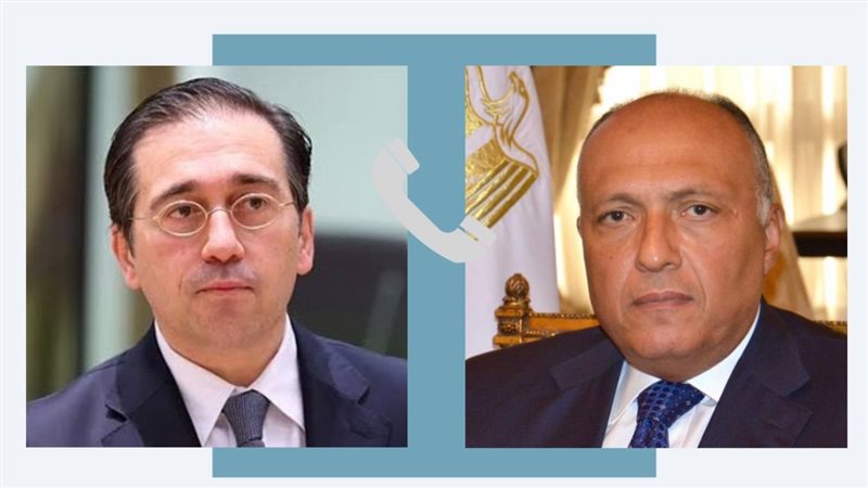 سامح شكرى ونظيره