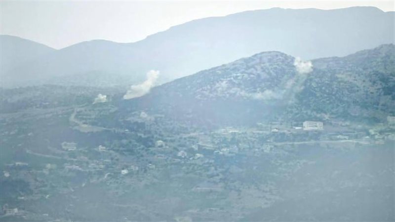 جنوب لبنان، فيتو