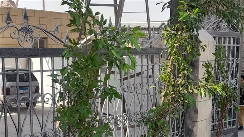 تشجير شق الثعبان،