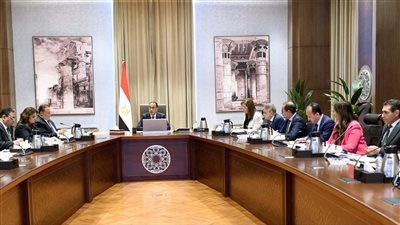 رئيس الوزراء يتابع موقف مبادرات إتاحة التيسيرات والمحفزات للمصريين بالخارج