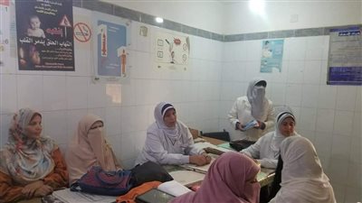 خدمات طبية وبيطرية خلال قافلة سكانية متكاملة بقرية البهي بالبحيرة (صور)