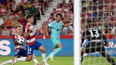 خبير تحكيمي يحسم حقيقة صحة هدف برشلونة الملغي أمام غرناطة