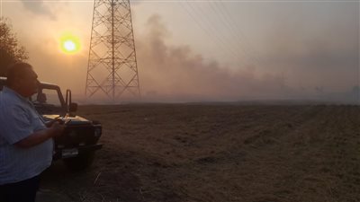 ضبط 295 مخالفة حرق قش أرز في الدقهلية