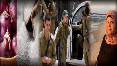 أخبار مصر: صور جديدة لقتلى الجنود والضباط الإسرائيليين، استشهاد مصرية وشقيقتها في غزة، بشرى بشأن أسعار السكر والبصل (انخفضت للنص)