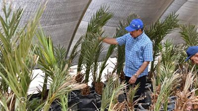 رئيس جامعة الوادي الجديد يتفقد مشروعات المقر الجديد بالكيلو 10