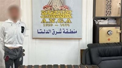 ضبط عاطل بحوزته 9 قطع حشيش بالدقهلية 