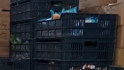 ضبط 7 آلاف عبوة باتيه مولد فاسدة بمحل في طنطا (صور)