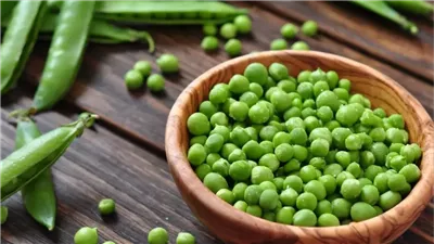 أسعار الخضراوات اليوم، البسلة بـ 20 جنيهًا في سوق العبور